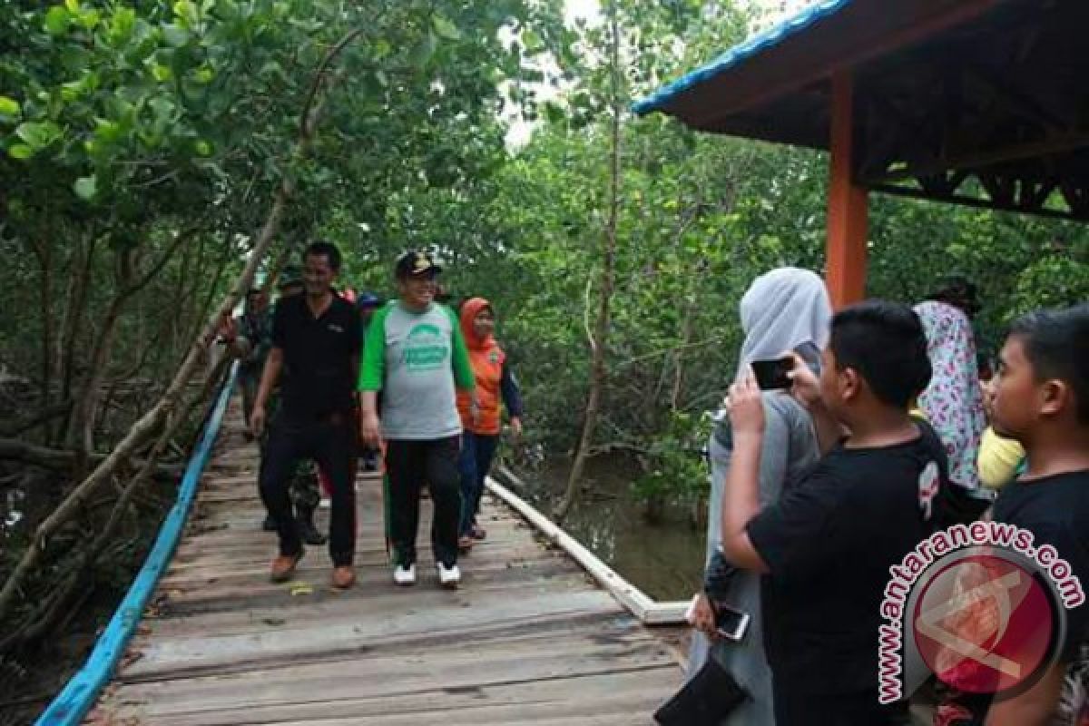 Pemkot: Pengelolaan Tracking Mangrove Lahundape Jangan Dibesar-besarkan 