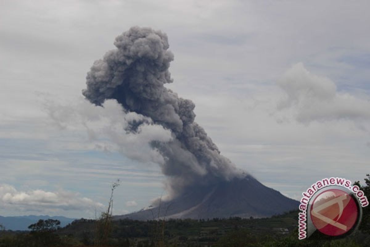 Gunung Sinabung Erupsi Tiga Kali Vulkanologi Berlakukan Zona merah Radius Tiga Meter