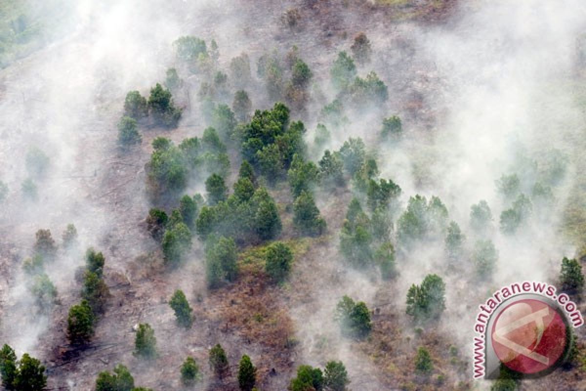 Riau perpanjang status siaga kebakaran hutan-lahan