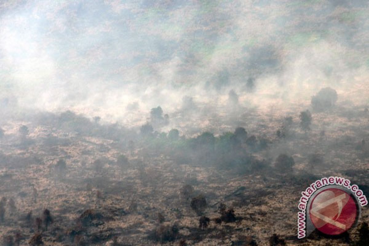 IPB bentuk pusat data pengendalian kebakaran hutan