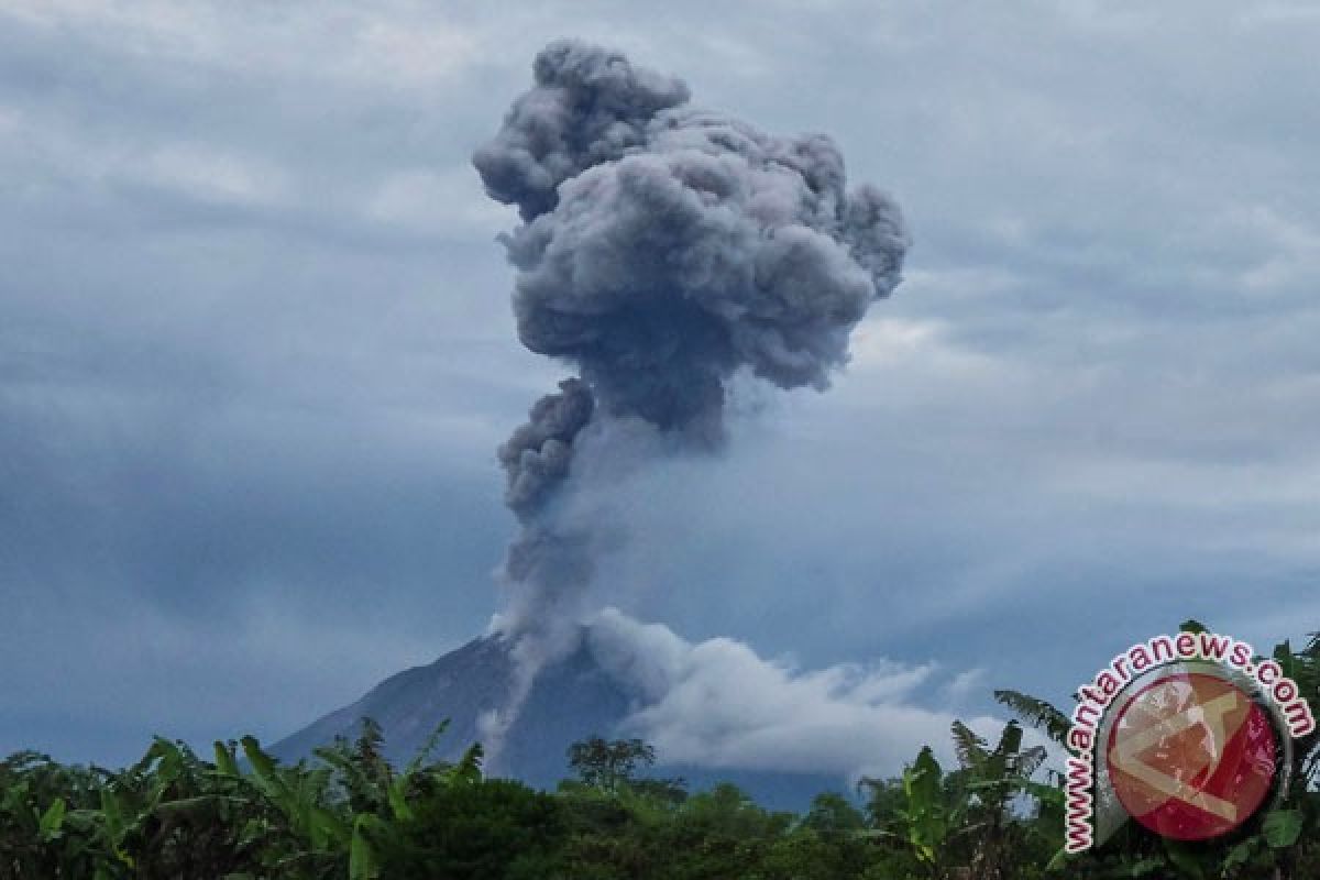 Gunung Sinabung terus alami erupsi