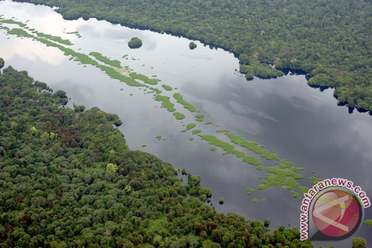 Buah manis dari 30 tahun kesetiaan menjaga hutan