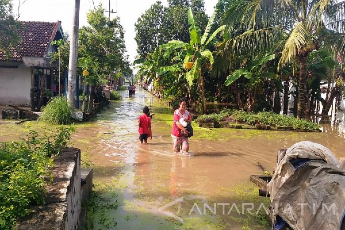 Desa Kweden Kembar Mojokerto Terendam Banjir (Video)