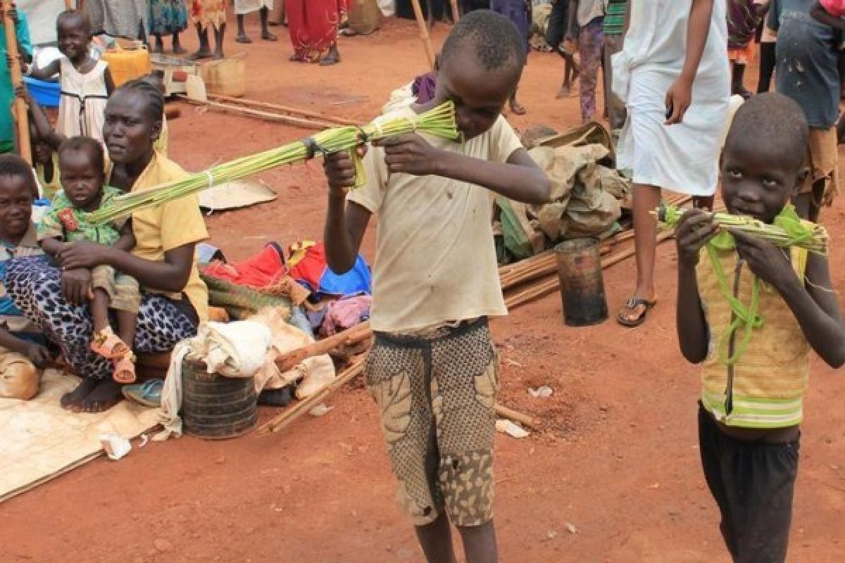 Puluhan ribu pengungsi Sudan Selatan terlantar