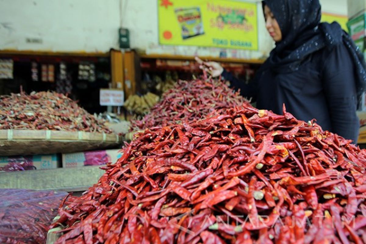 Wagub Jatim: Cabai Impor Tak Mengandung Bahan Berbahaya