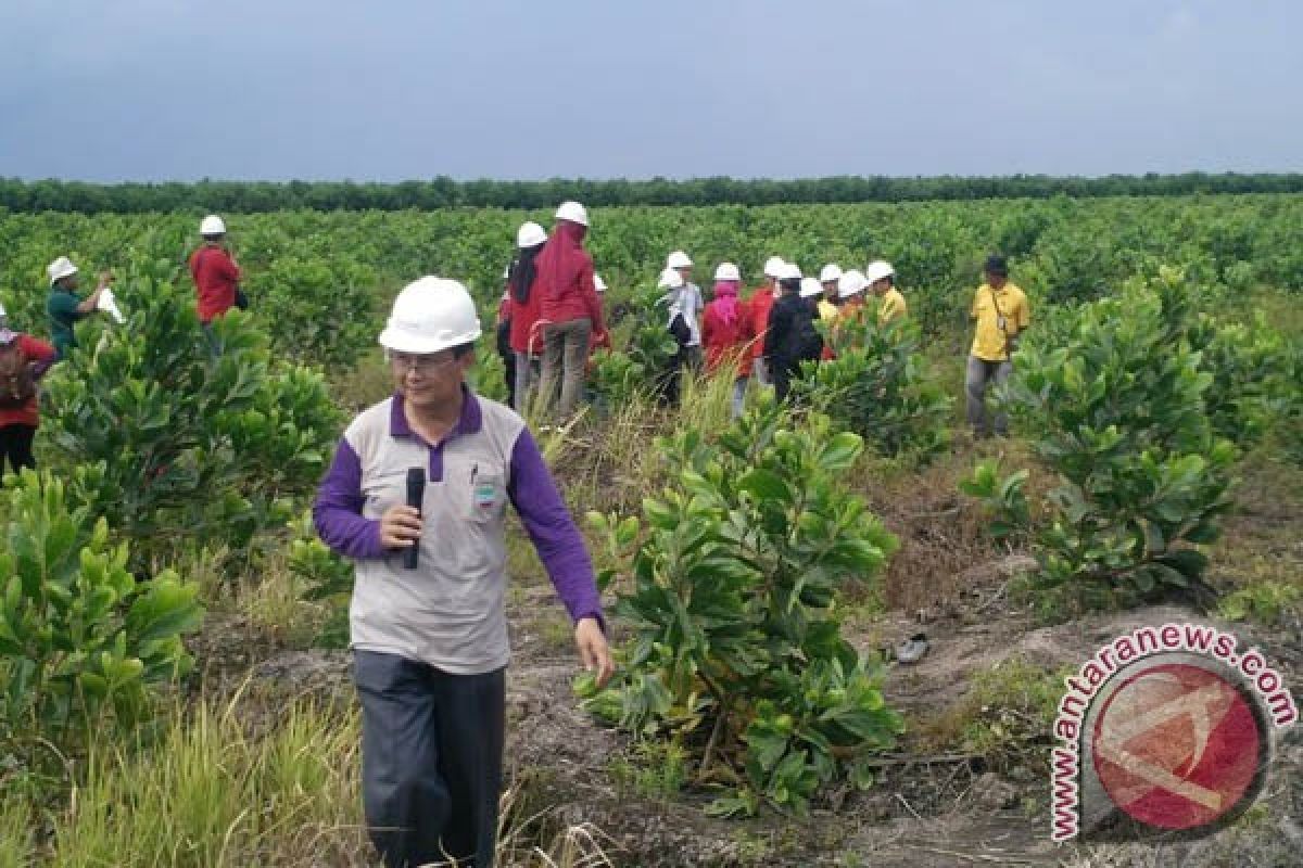 Forum DAS Sumsel kunjungi Kawasan Gambut OKI