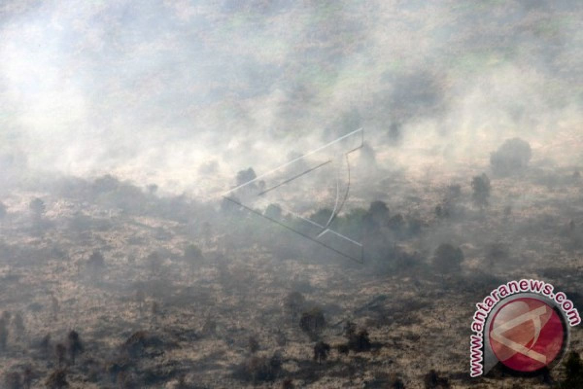 Pemkab Seruyan Berikan Solusi Terkait Larangan Bakar Lahan 