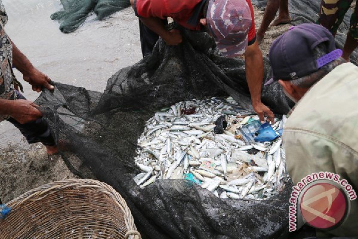 Sampah plastik di Lhokseumawe ganggu biota laut