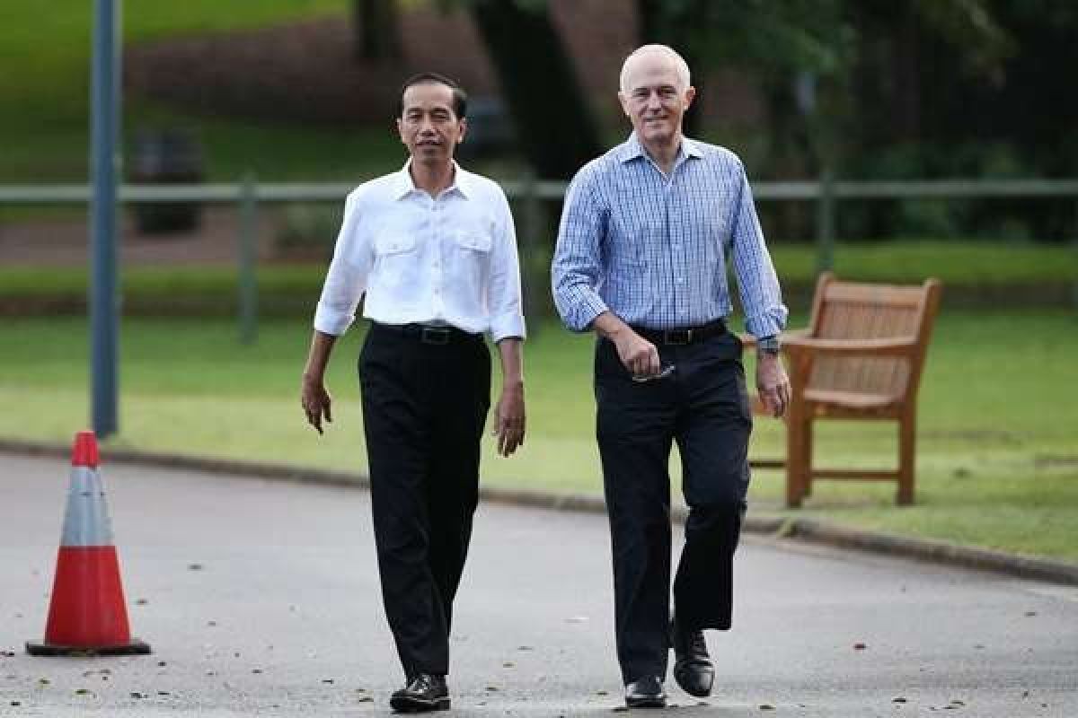   Jokowi jalan pagi bersama Turnbull