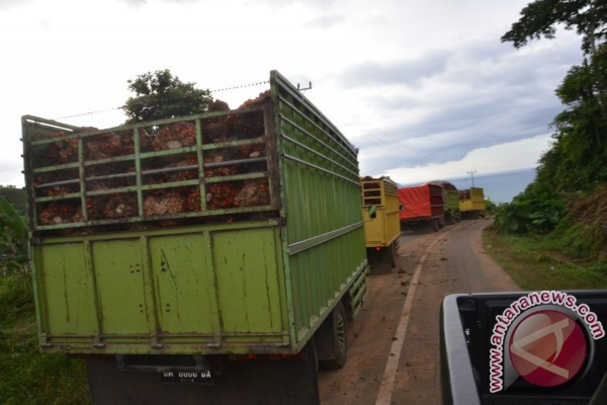 Truk Pengangkut Sawit Tertahan Di Gorontalo Utara 