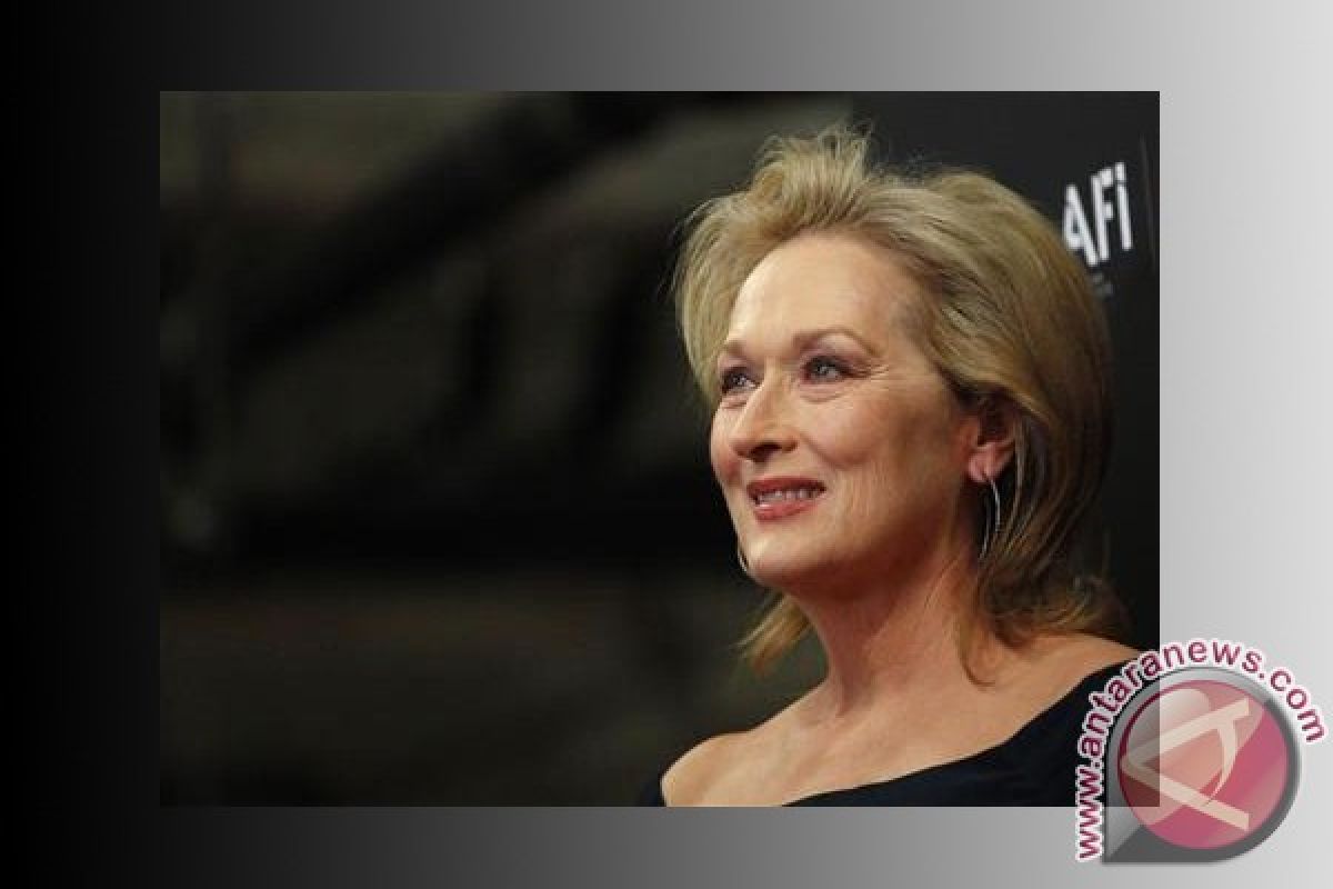 Meryl Streep tuding Karl Lagerfeld ganggu Kebahagiaannya di Piala Oscar