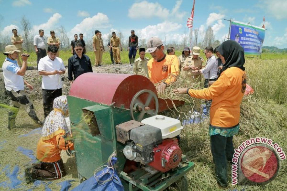 Proyek Sawah Organik Lingga Berhasil Panen Perdana