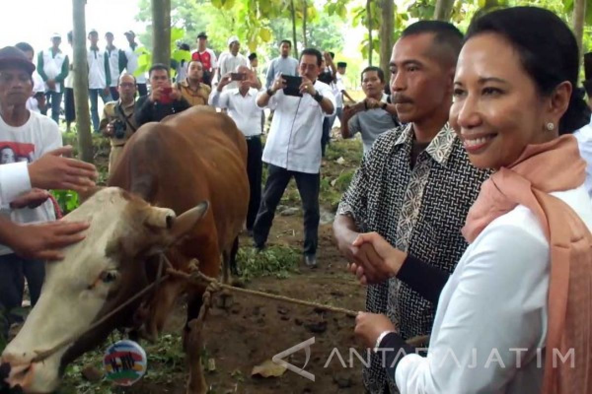 Menteri BUMN Berharap Raja Arab Berinvestasi di Indonesia