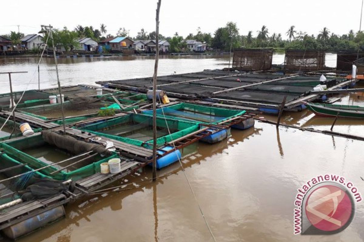 Warga Tanah Bumbu Kembangkan Keramba Apung