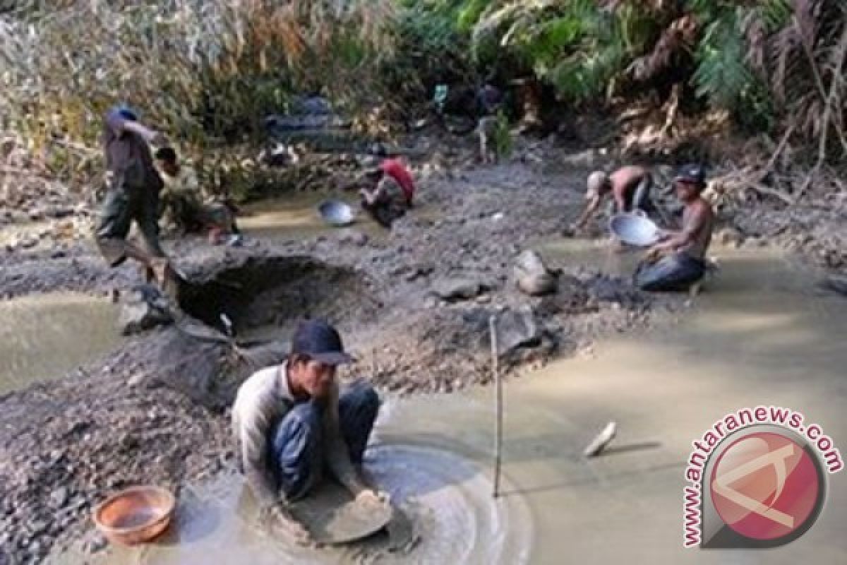 BLH Dharmasraya Lakukan Pemulihan Lahan Bekas Tambang