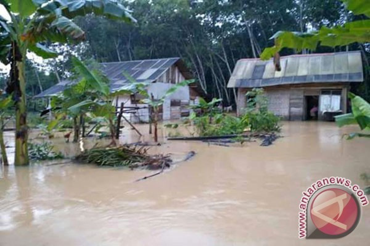 Desa Jaya Sakti Mesuji Kebanjiran