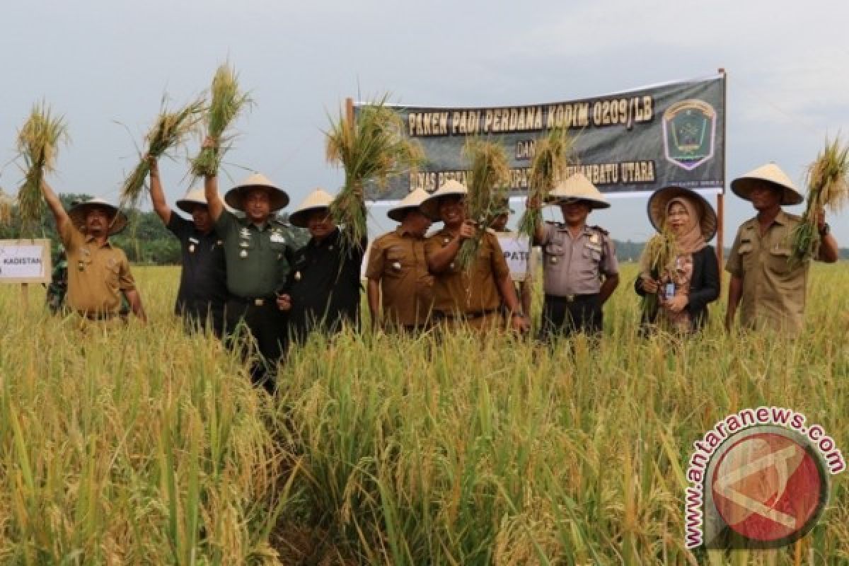 Bupati-DandimLaksanakan Panen Perdana