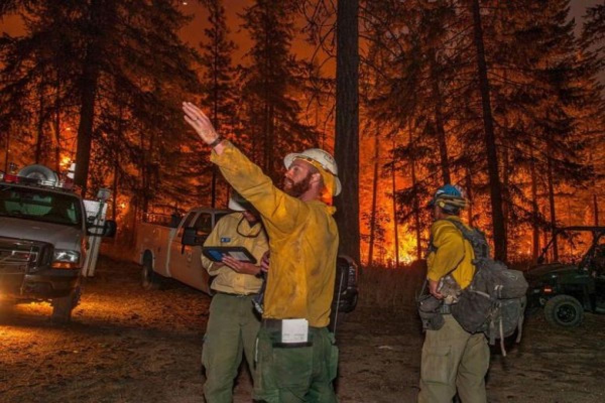 Korban jiwa akibat kebakaran hutan di California naik jadi 15