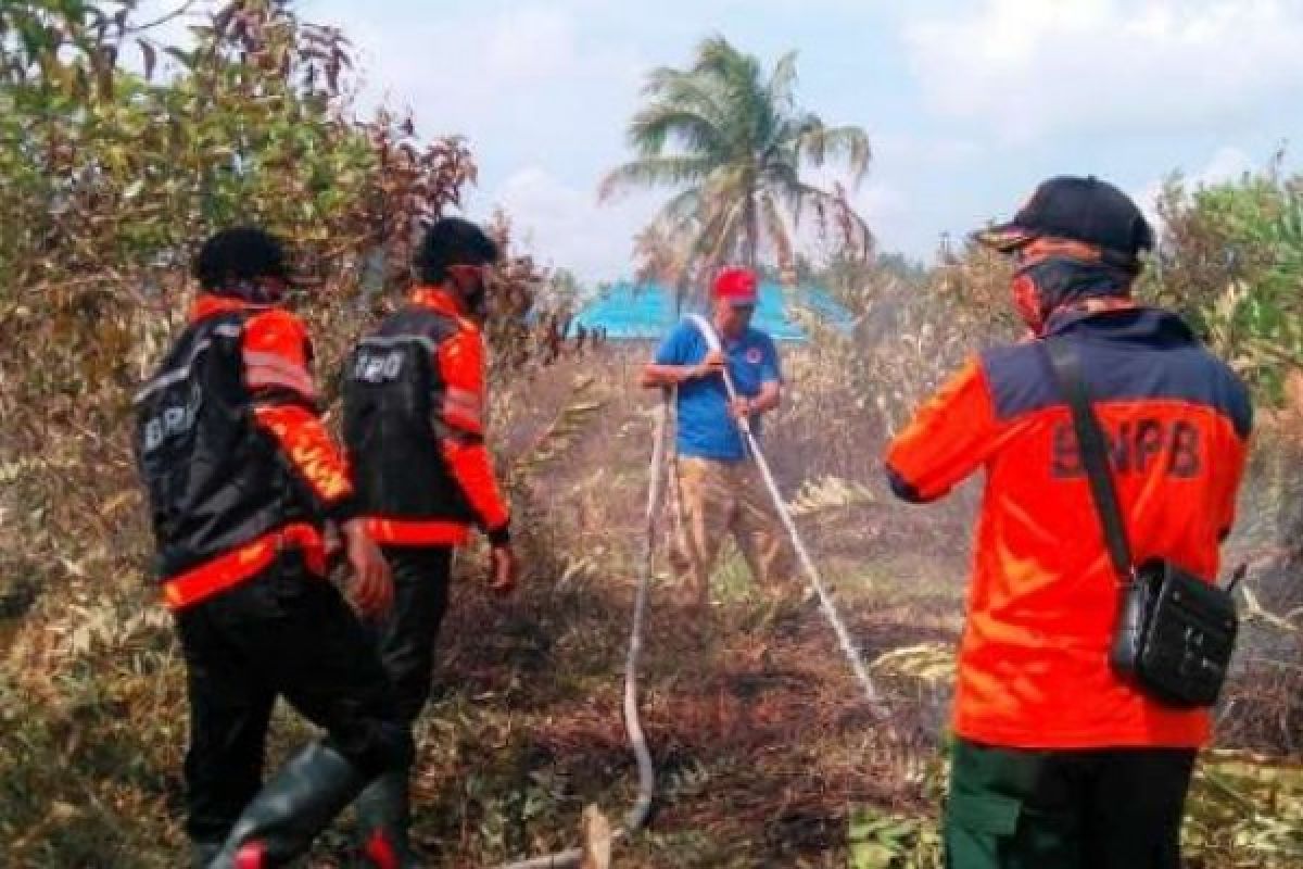 Akhirnya BPBD Inhil Berhasil Padamkan Karhutla Di Kateman