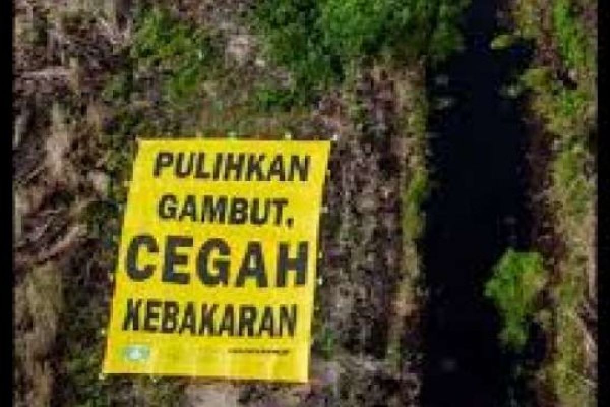 Pemkab Inhil Kembangkan Inovasi Bio Peat Untuk Bantu Petani