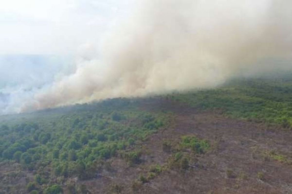 20 Hektare Lahan Milik Desa Terbakar di Teluk Meranti Pelalawan