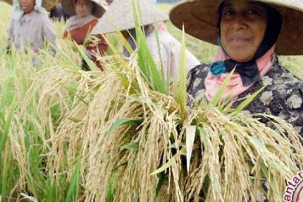 2017, Devisit Pangan Riau Mencapai 1.425.720 Ton 