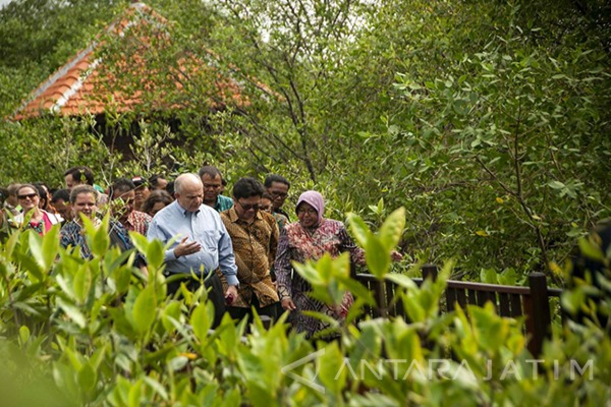 Dubes AS Kunjungi Mangrove Wonorejo Surabaya