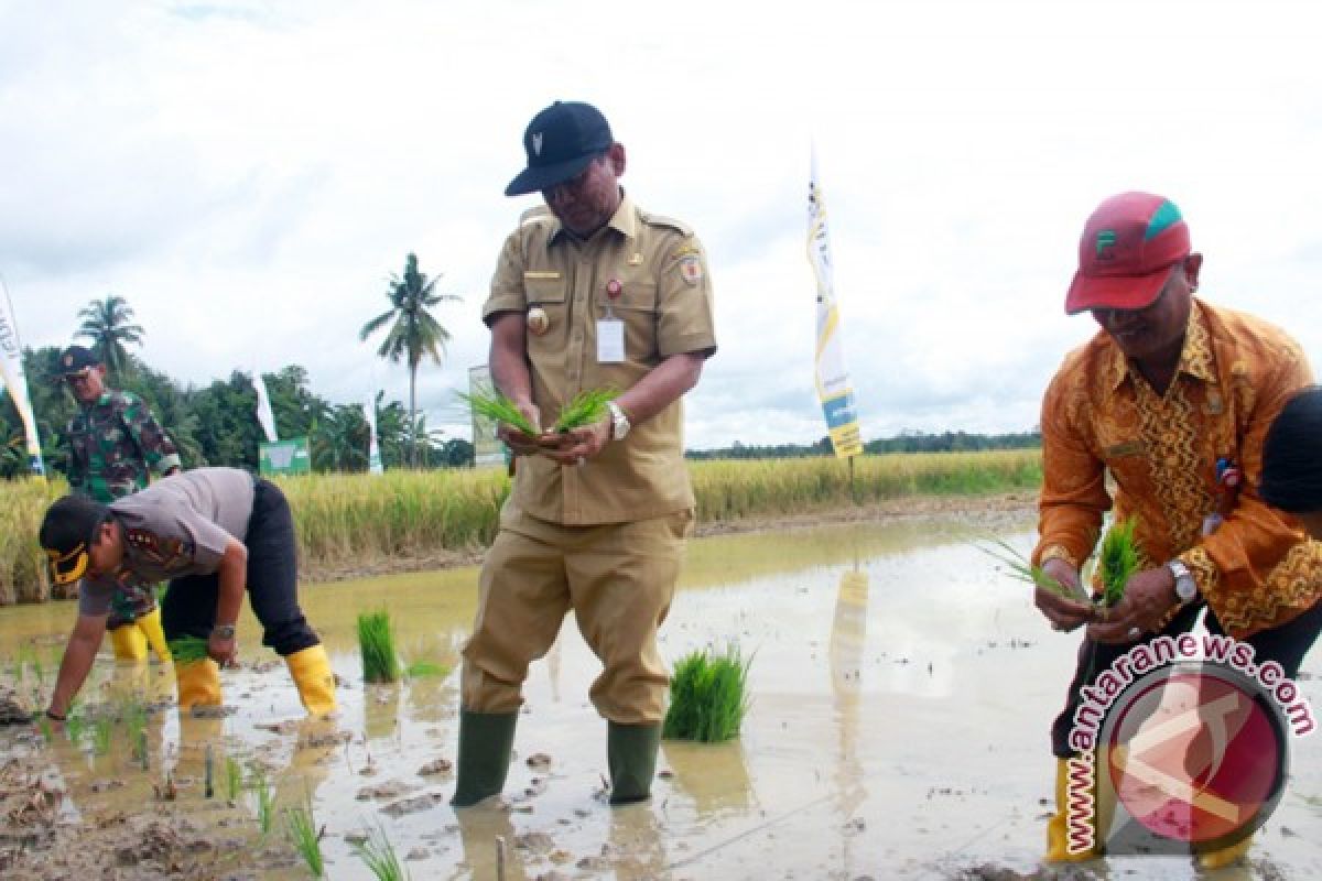 Pemerintah Dorong Petani Gunakan Pupuk Bersubsidi