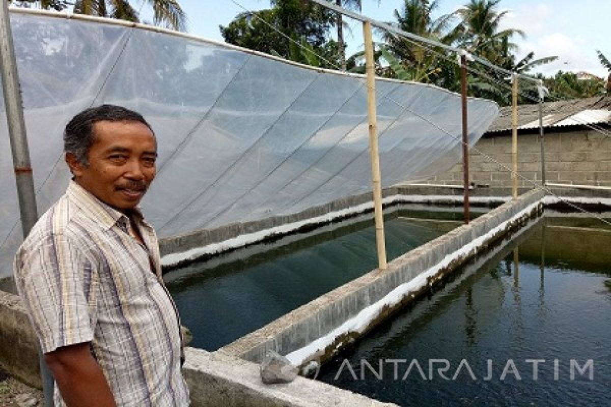 Tingkatkan Ekonomi Berkat Kolam Ikan