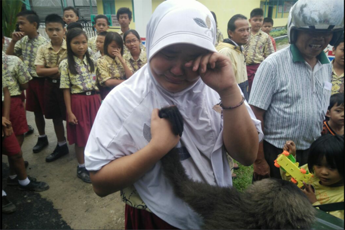 BKSDA Sita Dua Ekor Kelempiau Dari Warga 