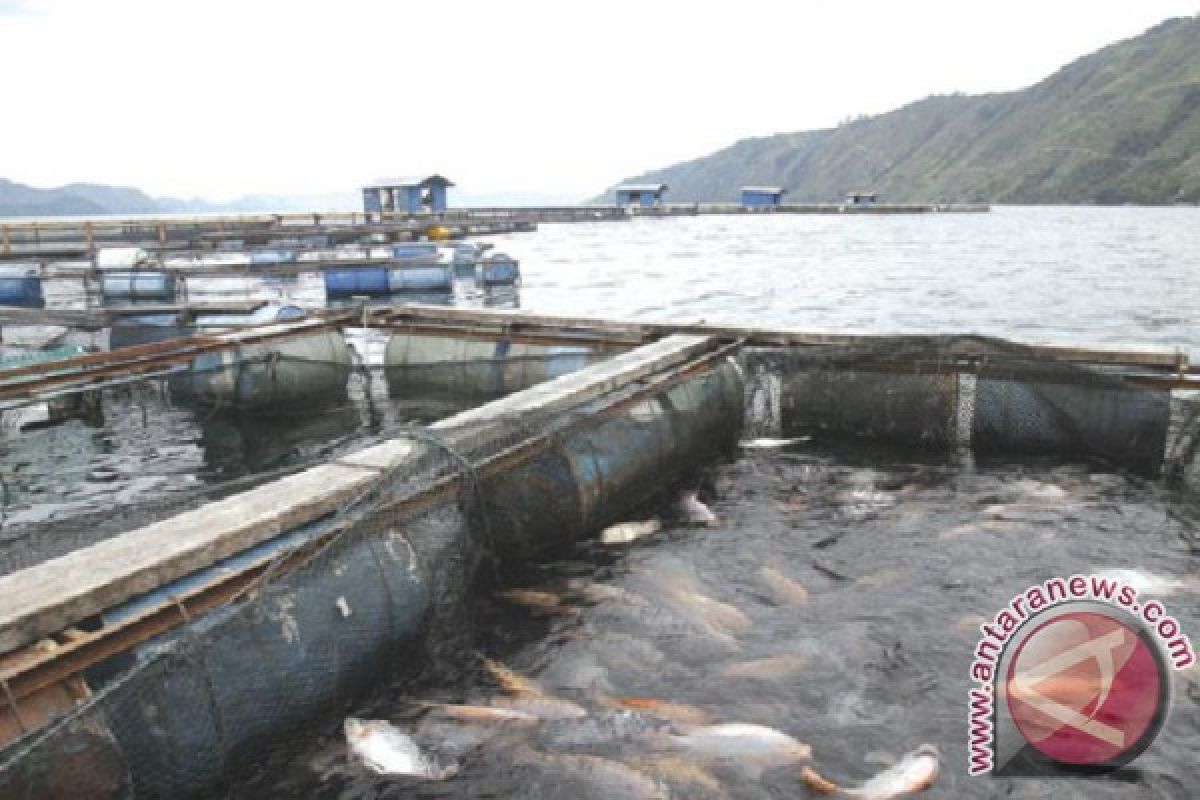 Budidaya Ikan Air Tawar