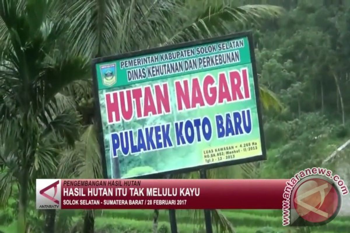 Realisasi Perhutanan Sosial Sumbar 204 Ribu Hektare