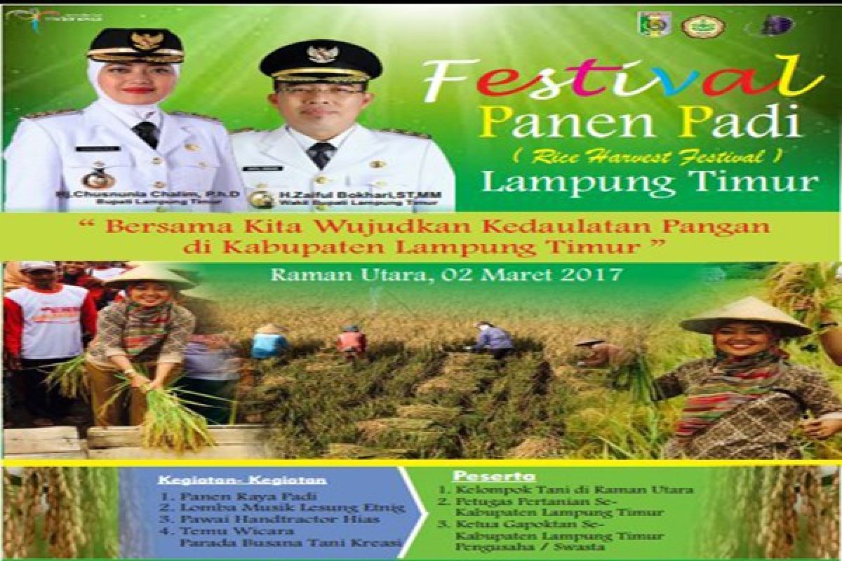 Lampung Timur Siap Gelar Festival Panen Padi  