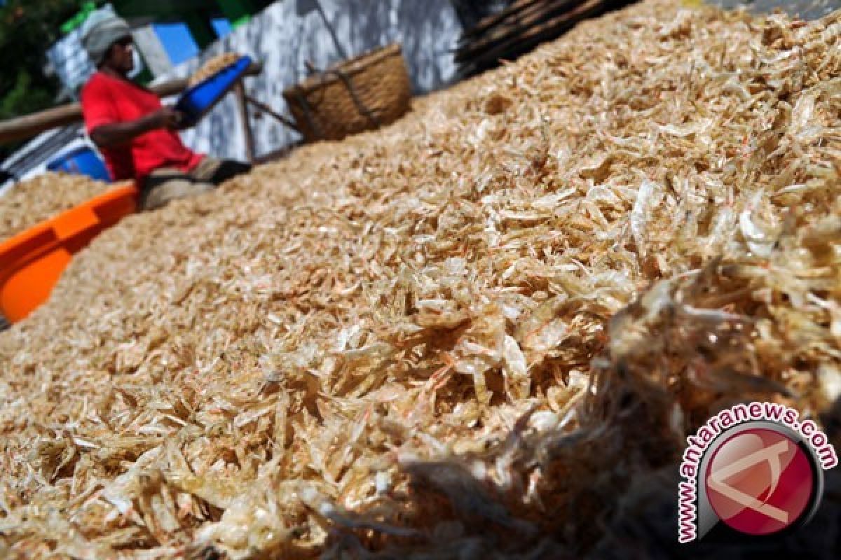 Kulit udang jadi plastik ramah lingkungan? bisa