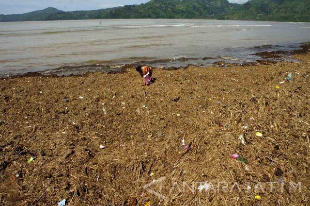Ratusan Ton Sampah Tutup Pantai Sidem Tulungagung