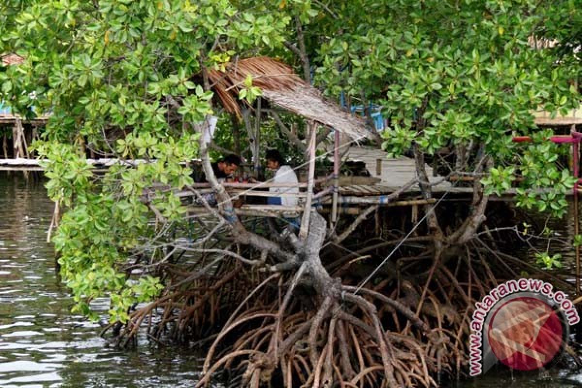 WISATA MANGROVE