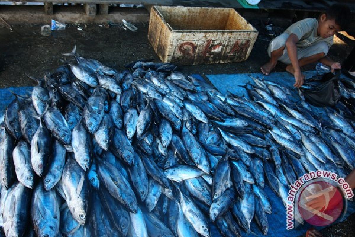 Gubernur Sultra kunjungi potensi perikanan Konawe Selatan