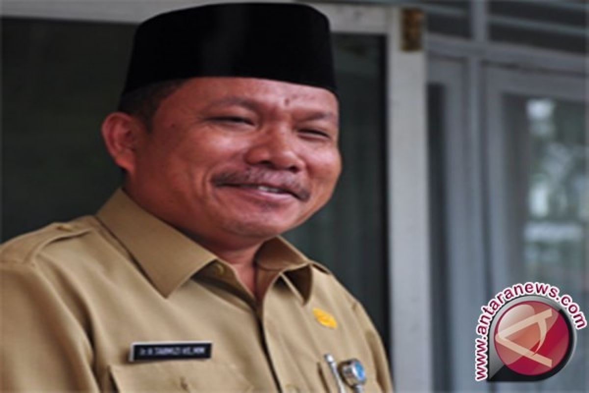 Bupati Bangka Tarmizi Saat Nyatakan Tidak Ada Desa Tertinggal di Daerahnya