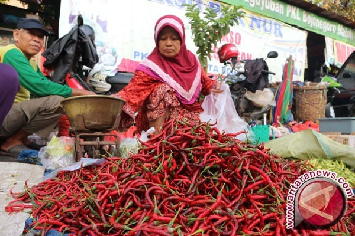 Pasokan melimpah harga cabai Jambi turun