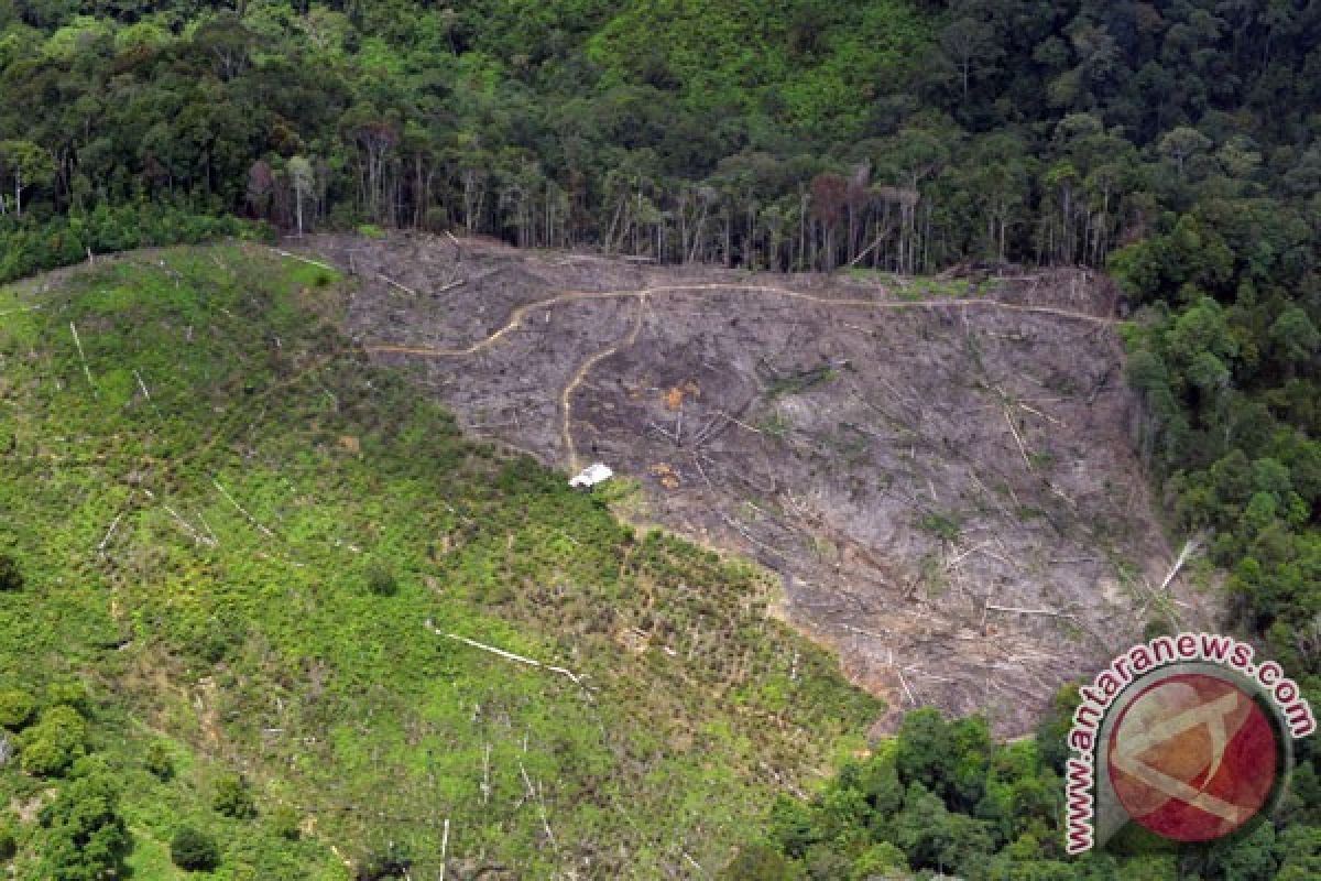 Habitat hewan sumatera makin berkurang