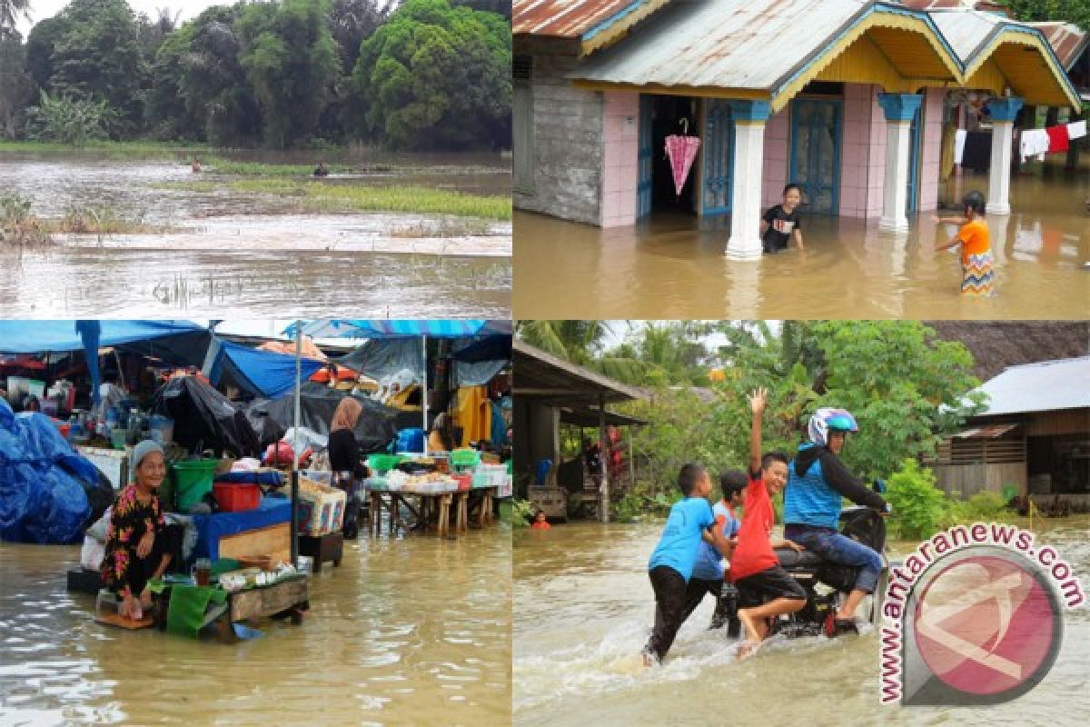 Ratusan Rumah HST Terendam Banjir 