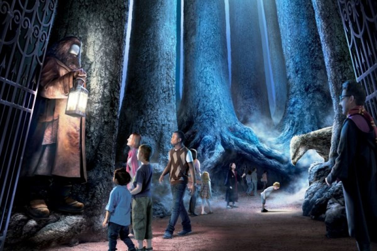 Hutan Terlarang Harry Potter segera dibuka untuk umum