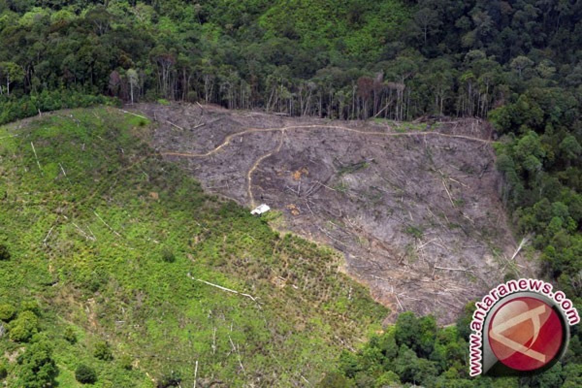 Habitat Hewan Sumatera Makin Berkurang