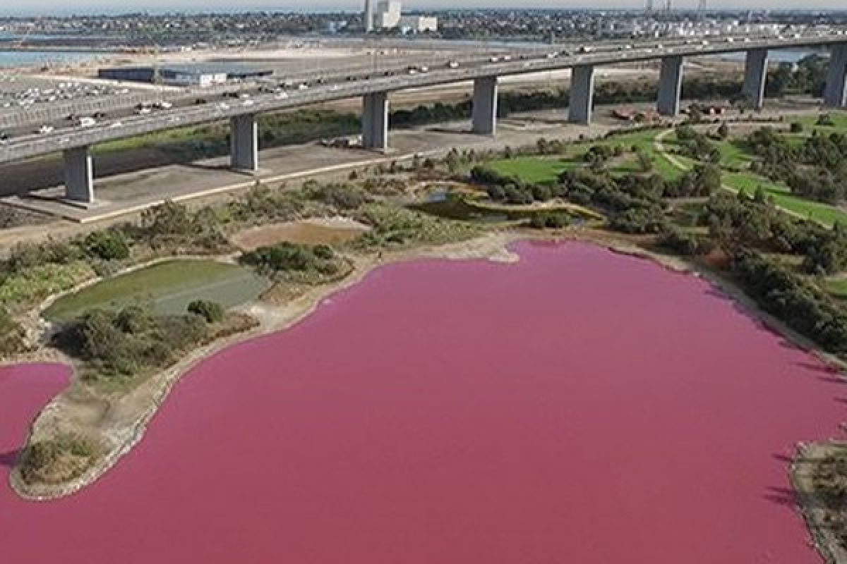 Danau di Australia berubah jadi pink