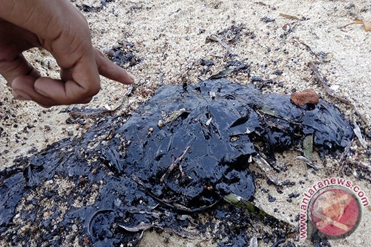 Limbah Oli Kotori Pantai Trikora Bintan