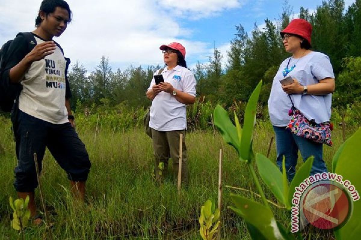 Mangrove Bengkulu Serap 3.852 Ton Karbon