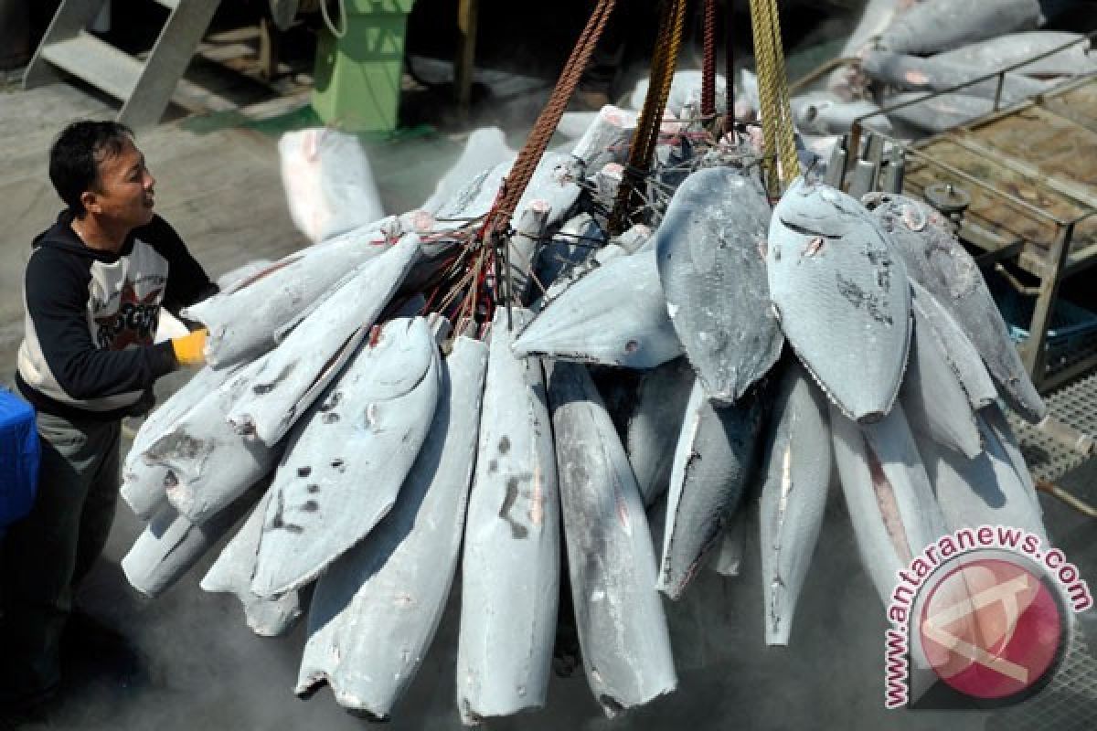 Ikan beku Makassar ditarget masuk pasar Eropa