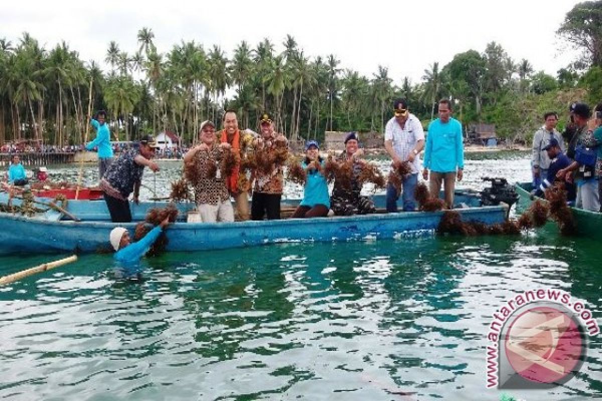 Lanal Saumlaki dan INPEX Panen Rumput Laut