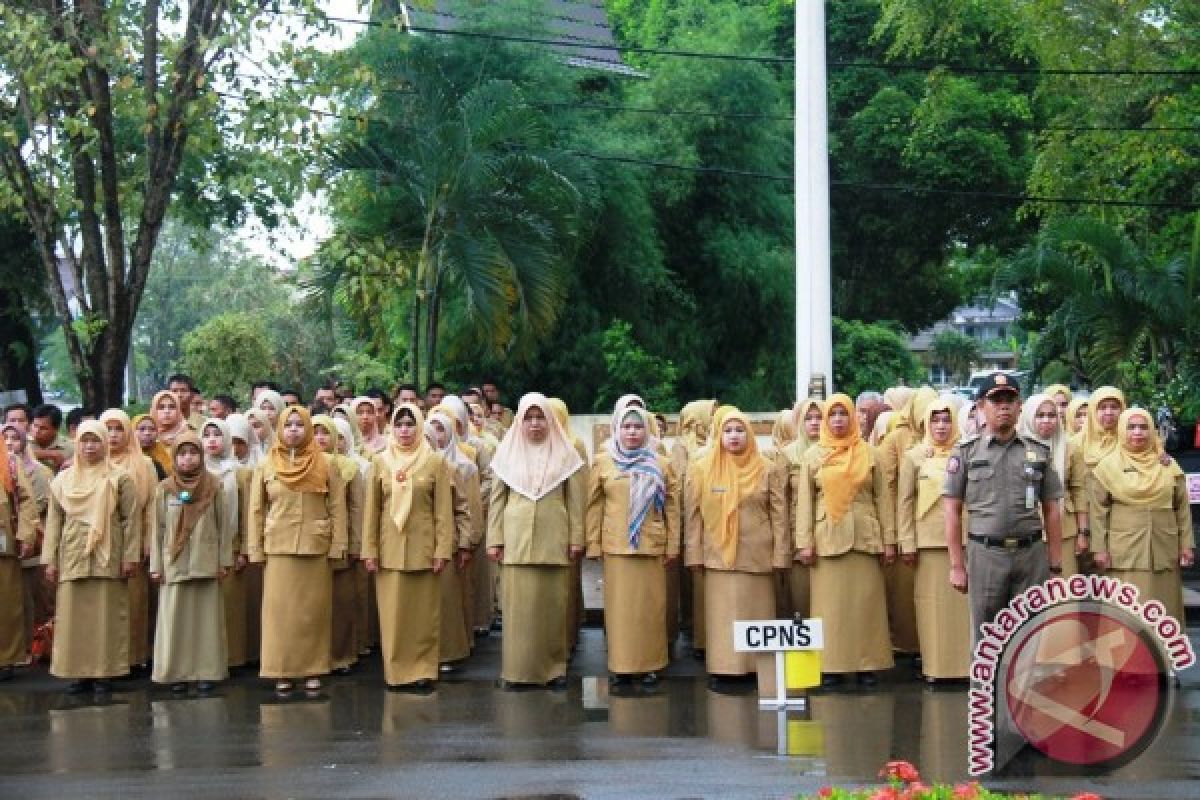 226 Honorer Tabalong Jadi PNS