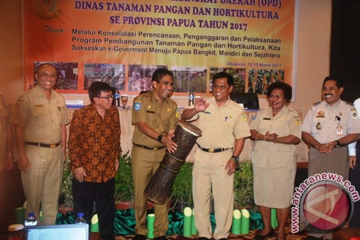 Pemprov Papua dorong peningkatan komoditas pangan dan hortikultura